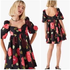 Kate Spade Just Rosy Beau Dress NWT
